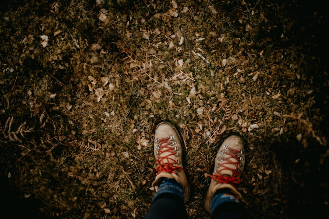 blog_1