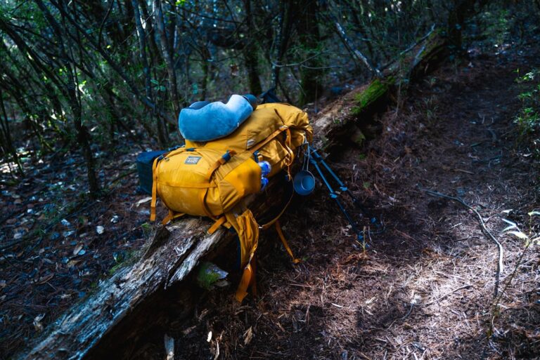 The Ultimate Guide to Hiking Gear for Beginners